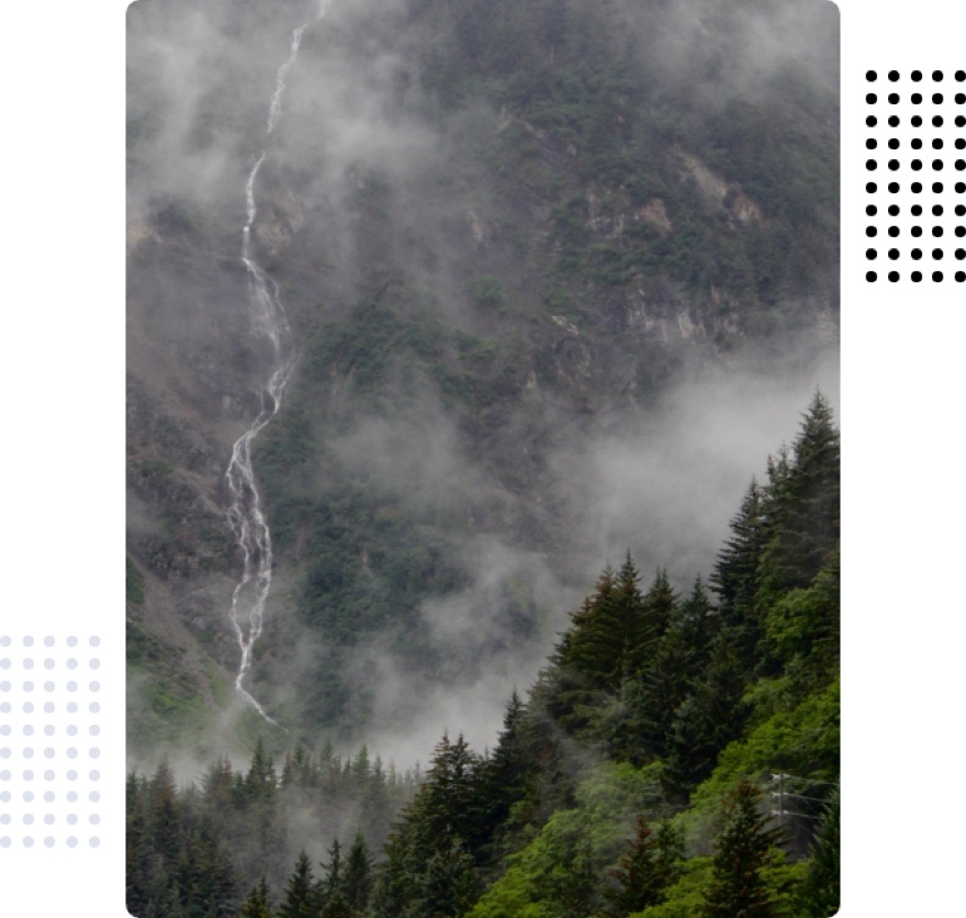 Misty mountain forest